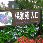 雨天のオアシス、「水戸のあじさいまつり」が開催中!
