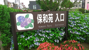 雨天のオアシス、「水戸のあじさいまつり」が開催中!