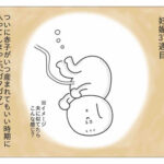【『潔癖夫のフシギな日常』出張版】生まれる前からドスコイ!!