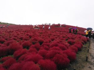 ロングステイが茨城の強み！ インバウンドで商機をつかめ!!