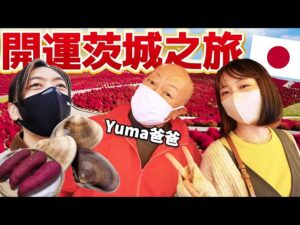 【RyuuuTV出張版】体感しに来て「開運茨城」!