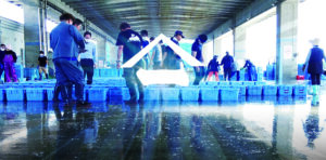 【地域密着と海外事業を両輪で進める小魚加工品のトップランナー！】株式会社ヤマイチ 取締役常務  川﨑 貴之